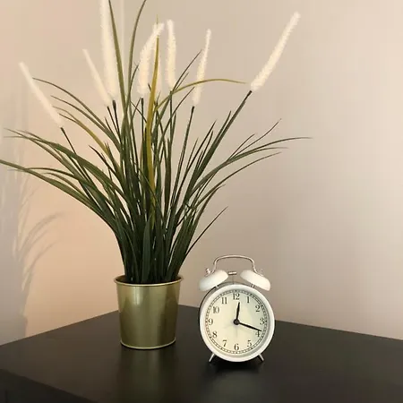 Seatone Apartamento *